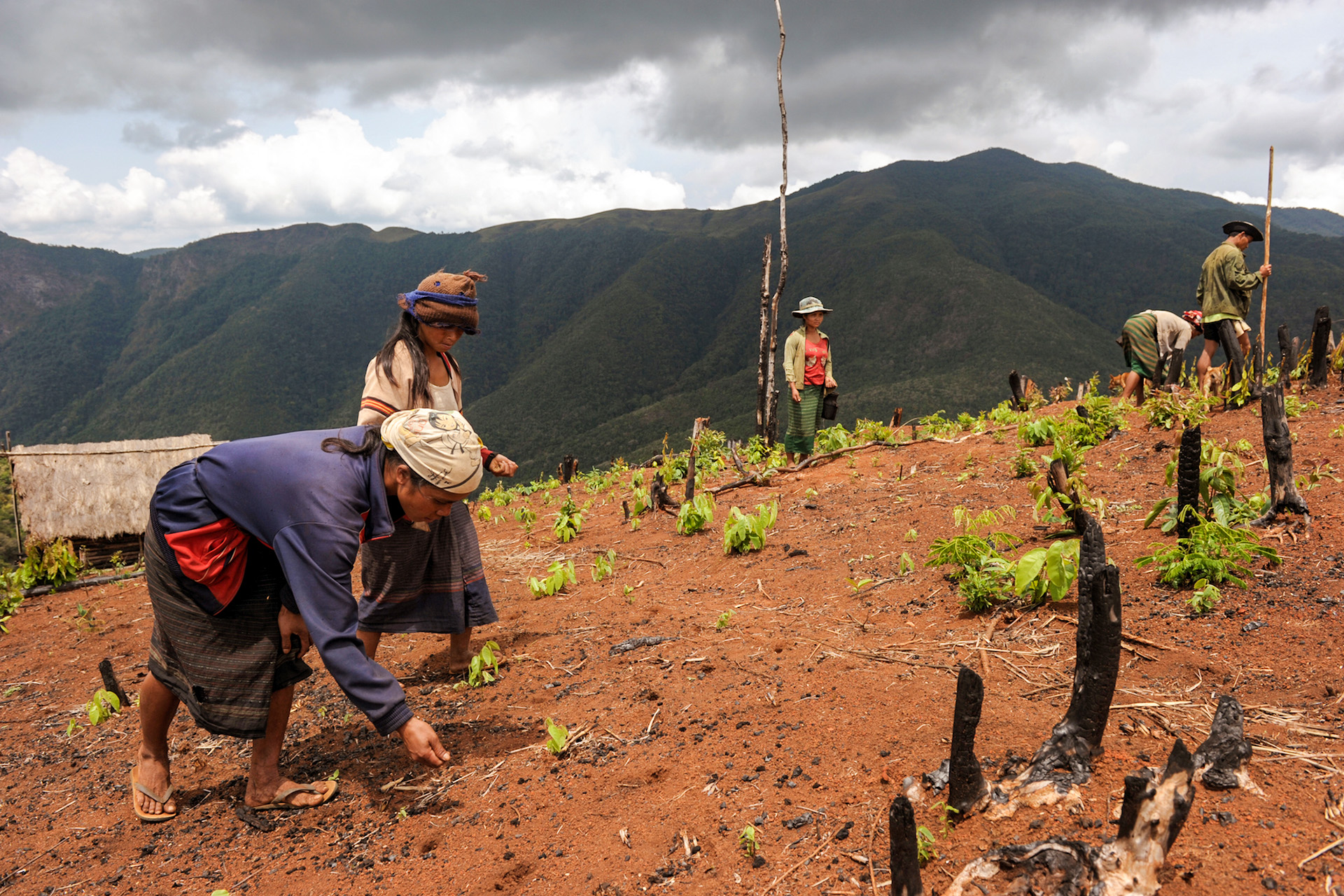 Vietnam Alak Dakchung